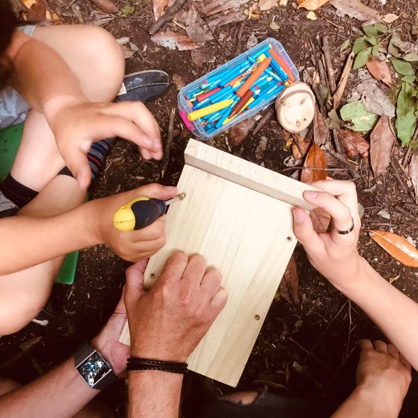Forest-School-at-Rosuick-Organic-Farm-Cornwall