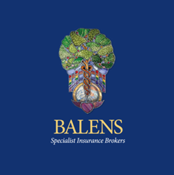 Professional reg - Balens insurance