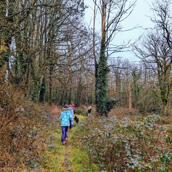 kids on farm-nature based farm learning